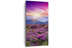 ARTTOR Lienzos decorativos 55x100cm Cuadro Sobre Lienzo Moderno Vertical Pradera Montaña Cielo Paisaje Grande Dormitorio Cuadros Pared Imágenes Cuadros Decoracion Salon Wall Art Prints Decor PA55x100-2719