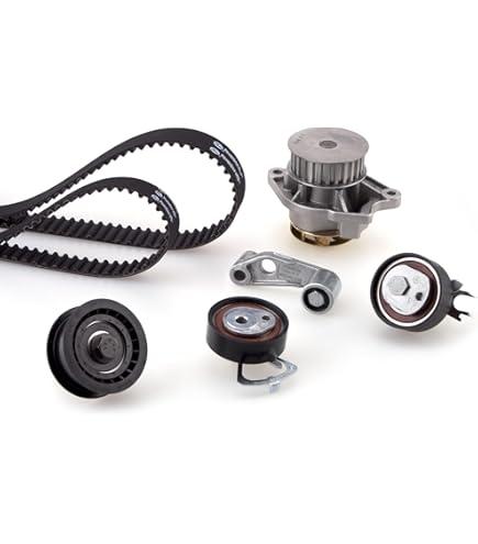 Correa Trapecial Poli V 958 903 137 SKF, HERTH+BUSS JAKOPARTS