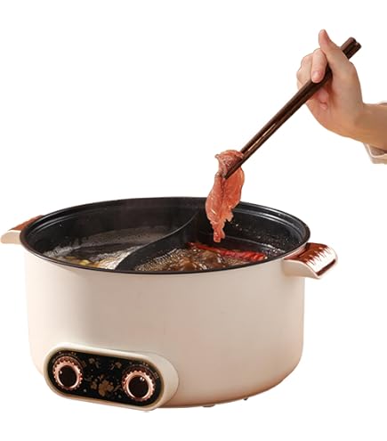 Remo Elektrische Fonduepan - RVS - Hotpot met 2 aparte vakken - 4,5