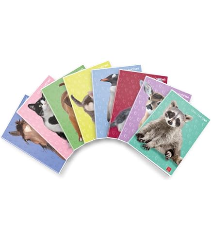 Pigna Maxi Notebook Special View A4 80 Pages Carrés 5mm - Lot De 10 - Couvertures Assorties