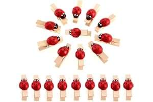 GUTE LINES Mini Mollette Naturale di Legno, Mini Clip con Coccinella per DIY, Decorazioni, Chiusura Sacchetti Foto Biglietti Scrapbooking Matrimonio Feste (28PZ x 35MM)