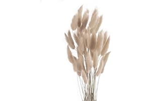 ROOBZE Conejo Flores secas Decoracion 50 Unidades Flores secas Naturales Ramo, decoración de Dormitorio Flores secas Ramo Flores secas Interior Boda decoración del hogar (café Gris)