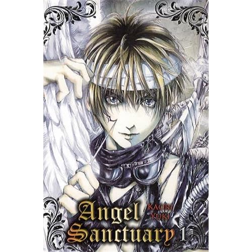 Angel Sanctuary T01 (NED) Angel Sanctuary T01 (NED)