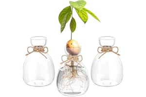 ‎HEWORY Hewory Propagation Station Geschenke für Frauen: 3 Avocado Glas Pflanzen Terrarium für Deko Wohnzimmer - Avocado Vase Glas Hydrokultur Vasen Set Kleine Vasen für Tischdeko Esstisch Regal Deko