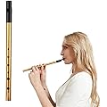 Flûte Irlandaise Tin Whistle Tonalité D Irish Tin Whistle Traditional tin whistle Avec Son Exceptionnel Flûte à Bec，Du Métal De Haute Qualité, Facile À Jouer