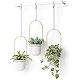 Umbra Triflora Hanging Planter For Window 42" Width 1011748-524