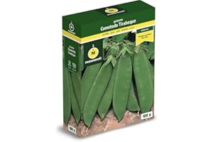 M MASCARELL SEMILLAS DESDE 1920 Mascarell Semillas, GUISANTE COMETODO, Semillas Leguminosas, Fácil de Cultivar en Casa, 100 G