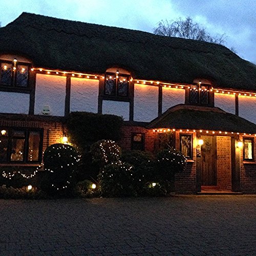 OxyLED G40 Globe String Lights £-with 25 CLEAR Bulbs £-Black £-220 V - 5