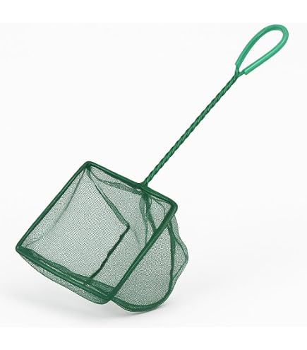 Generic 12inch Fish Net | Aquarium/Fish Tank Net | Nylon Net - Safe for All Fish, Blue Handle - Quick Catch Mesh : Amazon.in: Pet Supplies Generic 12inch Fish Net | Aquarium/Fish Tank Net | Nylon Net - Safe for All Fish, Blue Handle - Quick Catch Mesh : Amazon.in: Pet Supplies