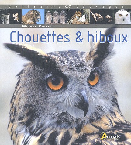 couverture de : Chouettes et hiboux