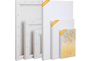 RMIVEGLIA Set da 6 tele per dipingere 30x20, 20x15, 15x10 cm – tela per dipingere professionale in tela bianca, perfetta per acrilico, olio e gouache – tele pittura ideali per artisti e hobbisti.
