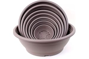 FLORALO E. K. Floralo Pflanzschale, rund, mit Löchern im Boden, Taupe, Durchmesser 50 cm - Schale Blumenschale Pflanzschale Plastikschale Kunststoffschale bepflanzen Topf