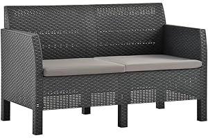 vidaXL Sofá de Jardín de 2 Plazas con Cojines Mobiliario Muebles Exterior Patio Terraza Hogar Silla Asiento Suave Estable PP Ratán Gris Antracita
