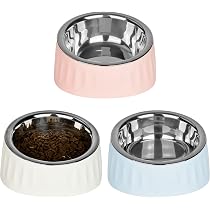 3-in-1 Kattenvoerbak – Roestvrij Staal – 15° Helling – Met 500 Ml Waterdispenser – Voor Katten En Kleine Honden – Afneembaar – Vaatwasserbestendig
