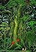 Produktbild Secret of Mana Poster