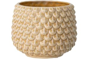 Nordring Vaso Pino - per Fiori da Interno e Piante da Interno, Piante grasse, Cactus, Orchidee L (16,5 cm ø), Avorio-Giallo, Ceramica Gres