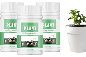 tongfeng Hormones De Bouturage - Poudre D'enracinement pour Boutures De - Poudre D'enracinement pour Boutures - Poudre D'enracinement Succulente - Enracinement RapiPour Les Poudre Croissance