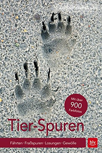 Tier-Spuren: Fährten | Fraßspuren | Losungen | Gewölle PDF-download