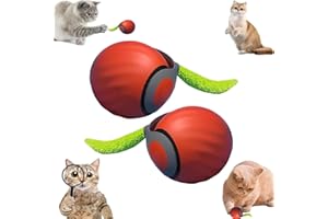 XINYUNXIN Speedy Tail 2.0 - Giocattolo Interattivo Automatico per Gatti, Palla con Coda di Ricambio per Cane/Gatti, Ricarica USB, 2 Pezzi, Arancione