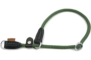 Aiminto Braided Rope Collar, Training Dog Collar, Round Martingale Collar, Slip Collar with Adjustable stopper and Slidable Stop Ring - Ideal for Small Dogs (S(1/4") - 14" Long, Dark Green)