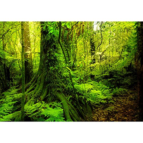 Fototapete Wald 352 x 250 cm – Vliestapete – Wandtapete – Vlies Phototapete – Wand – Wandbilder XXL – !!! 100% MADE IN GERMANY !!! Runa Tapete 9010011c - 6