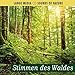 Naturgeräusche - Stimmen des Waldes by 