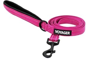 BEST PET SUPPLIES Voyager - Correa Reflectante para Perro con Mango de Neopreno, 5 pies de Largo, soporta Cachorros de Raza pequeña, Mediana y Grande, Bonita y Resistente para Caminar, Correr y Entrenar, Fucsia