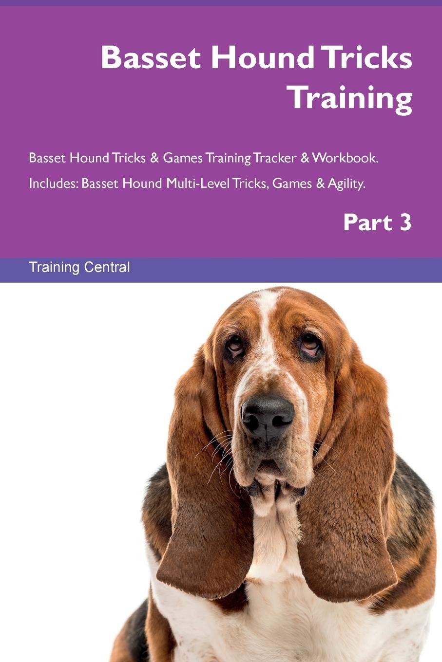 Basset Hound Tricks Training Basset Hound Tricks & Games Training