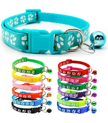 Hundehalsband Mit Pfotenprint & Glöckchen – Verstellbar, Fluoreszierend Hellgrün, Größe S/M