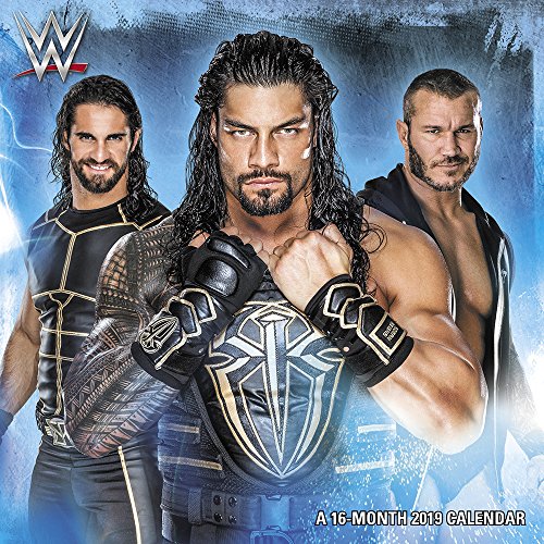 Preisvergleich Produktbild WWE Mini Wall Calendar (2019)
