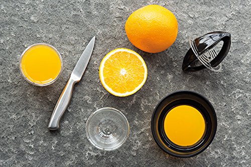 XD Design P261.181 Press Handsaftpresse mit 2 Aufsätzen und Glaskaraffe - 8