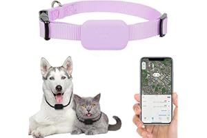 BLAUHAUS Collier GPS Chat Tracker – Tracker GPS Localisez Facilement Votre Chat ou Chien avec Apple Find & Bluetooth | sans Abonnement Mensuel | Compatible iOS et Android.(Rose)