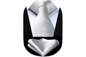 HISDERN Cravate Homme Mariage Fete Cravates et Mouchoirs pour hommes Cravate Classique Ensemble Carré de Poche,Couleur unie