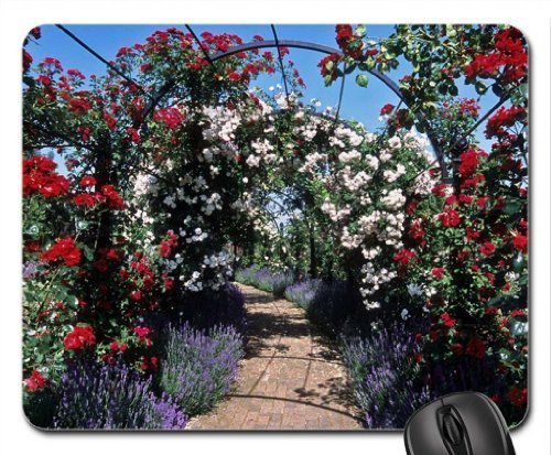 Preisvergleich Produktbild Rose verdeckt Pergolas Mauspad, Mousepad (Blumen Mauspad)