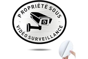 Goodvia Aluminium Brossé Propriété Privée sous Vidéo Surveillance Ovale 15x12cm avec Adhésif 1 pièce