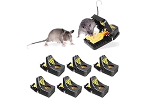Novali Pack of 6 Mouse Trap - Mouse Traps for Indoors and Outdoor - Reusable Rat Traps That Kill Instantly with Bait Cup - Highly Effective Mice Control, Quick Rodent Catcher