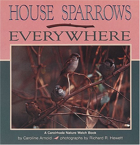 House Sparrows Everywhere livre