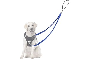 Adiwo Smycz dla psa z dwupunktową kontrolą, profesjonalna, zapobiegająca ciągnięciu, z odblaskowymi szwami i miękką wyściółką, łatwa do przekształcenia w pojedynczą smycz (niebieska)