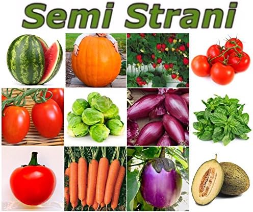 500 SEEDS of FRUIT, VEGETABLES and AROMATIC HERBS in 12 Tasty Varieties THE MIX COLLECTION