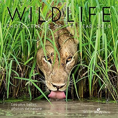 Wildlife Photographer of the year : Les plus belles photos de nature