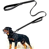 Eyeleaf Guinzaglio per Cani Riflettente e Forte con Doppio Manico Imbottite Resistente Nylon Guinzaglio per Cani Taglia Grand