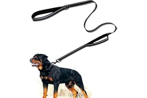 EYELEAF Laisse de Dressage à Double poignée de 1,5 mètre, contrôle de proximité, Laisse de sécurité pour Chiens de Grande et Moyenne Taille, Design réfléchissant