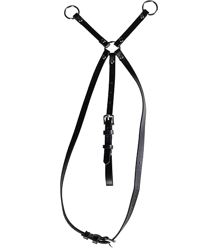 NAIZY Dog Agility Gear Set, Mobiliteitstrainingsset Met Slalompalen Verstelbare Springring In Hoogte Verstelbare Springstang Pauzeveld Hondentunnel Trainingsset Voor Huisdieren Blauw En Oranje NAIZY Dog Agility Gear Set, Mobiliteitstrainingsset Met Slalompalen Verstelbare Springring In Hoogte Verstelbare Springstang Pauzeveld Hondentunnel Trainingsset Voor Huisdieren Blauw En Oranje