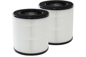 PUREBURG Lot de 2 filtres HEPA de rechange compatibles avec les purificateurs d'air DIKI & VAVSEA B-D02H, filtre à charbon actif H13 4 étapes 2 en 1