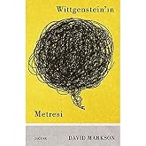 WITTGENSTEINNIN METRESİ