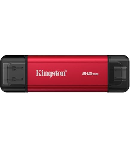Kingston XS2000 500GB Portable SSD