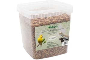Eggersmann volaris Mehlwürmer getrocknet 900g – Wildvogelfutter proteinreich & natürlich – Getrocknete Mehlwürmer ideal für Wildvögel, Hühner & andere Heimtiere – Vogelfutter frei von Pestiziden