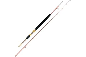 WFT 68 North LTC 2,10m 30lbs / 50lbs Meeresrute Steckrute Dorschrute