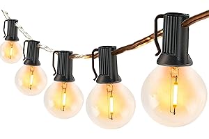 DUBISTDA Catena Luminosa Esterno, 33FT/10M Luci da Esterno Impermeabile LED Catene Luminose con 14 G40 Lampadine Decorative per Terrazzo, Giardino, Balcone, Barbecue, Partito, Festa - Dimmer non incluso