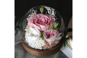 Gugxiom Glass Rose,Preserved Roses Lamp with LED,Light up Preserved Flower for Birthday,Valentine's Day,Christmas (Sakura Pink)